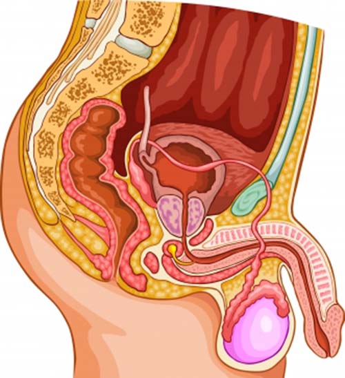 How is male bladder cancer treated?