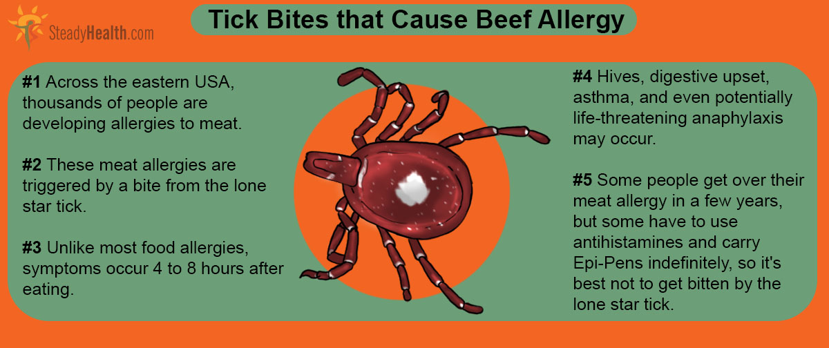 What are the symptoms associated with tick bites?