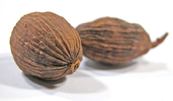 thumb_nutmeg.jpg