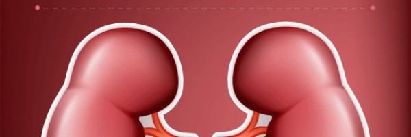 13 Signs of Kidney Disease You Should Never Ignore