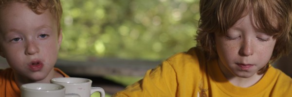 Pre-natal And Early Life Factors Predicting Obesity In Children