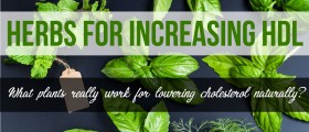 Herbs for Increasing HDL and Improving LDL: Lowering Cholesterol Naturally With Plants