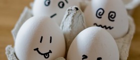 Using donor eggs: An overiew