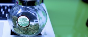 Benefits And Dangers Of Medical Marijuana: Should We Legalize It?