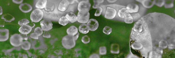 Top 14 Food Ingredients That Are Actually Toxic