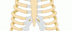Left rib cage pain