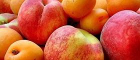 Negative calorie food list
