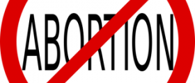 Couple aborted twin boys because they wanted a girl?