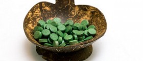 Chlorella algae facts
