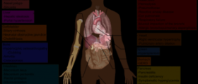 Chronic cystic fibrosis