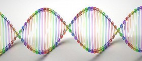 Can you get a DNA test during the prenatal stage?