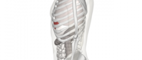 Sharp pain in left side of body