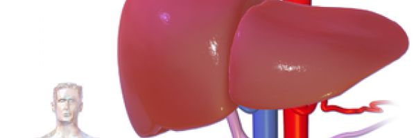 Chronic liver failure