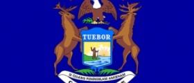 Fewer babies in Michigan