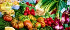 Pregnant and vegetarian? What do you need to know?