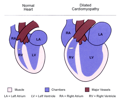 health articles