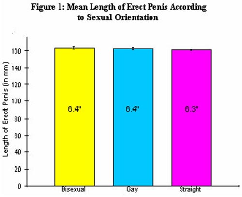 Penis Statistic 25