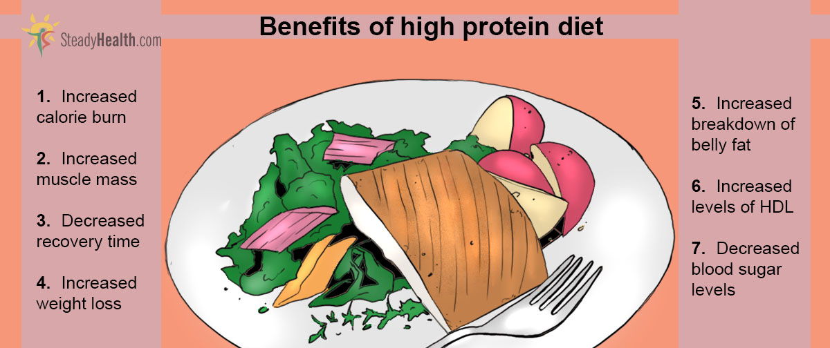 Foods Low In Protein Diet