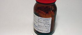Amphetamines: A psychostimulant drug
