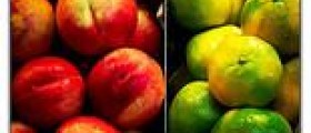 Anti aging foods: What you should include in your anti aging diet