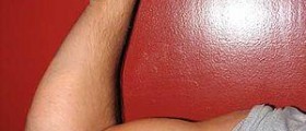 Arm bones and muscles