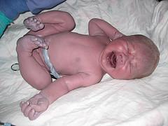 Average birth weight