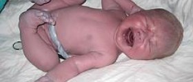 Average birth weight