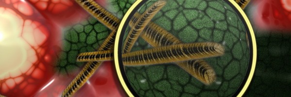 Persistent Bacterial Infections And Resistance To Antibiotics