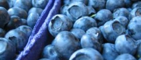 Calories in blueberries