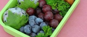 Candida snack ideas to stay on track