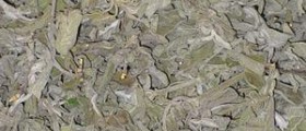 Chinese herbal medicine - Restoring balance to the body