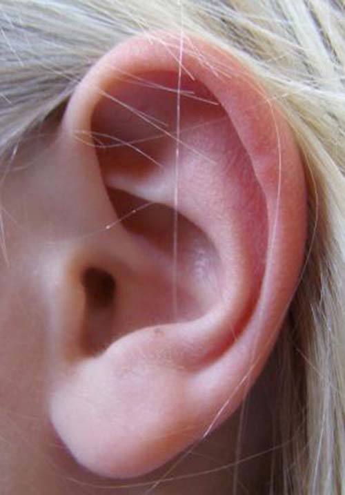 Ear wax removal
