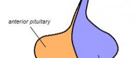 Endocrine disorders causes