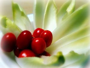 Facts for healthy eating
