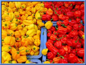 Health benefits of red peppers