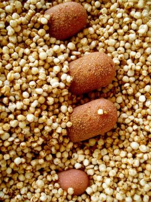 Healthy quinoa recipes
