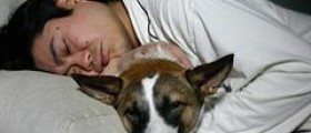 How cpap treats sleep deprivation