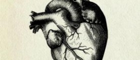 Human heart facts