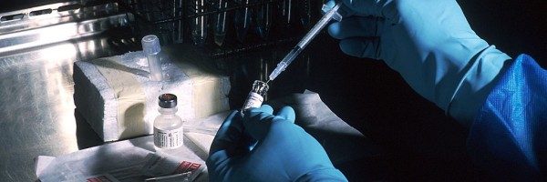 Vaccines: How They Are Made And How They Work