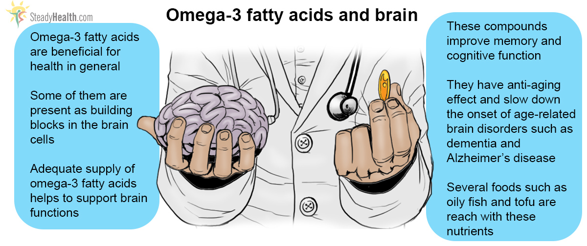 Omega 3 Fatty Acids And Their Effect On Brain Function Nervous System 