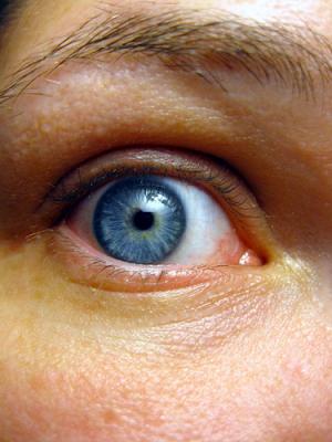 Organic wrinkle creams