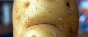 Potato nutritional benefits