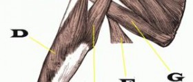 Prevention of duchenne muscular dystrophy