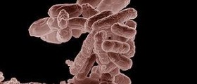 Prevention of e coli