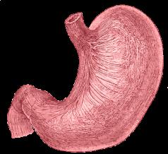 Stomach pain in right side
