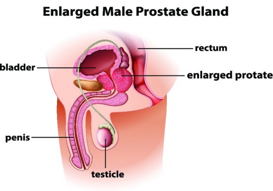 Masturbation Male Prostate 18