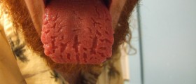 9 Secrets Your Tongue Reveal About Your Health: Are You Brave Enough To Look?
