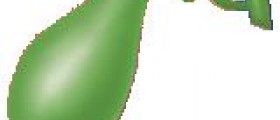 Where is the gallbladder located in the body