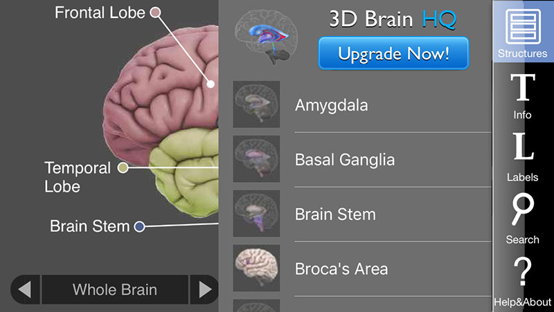 3d brain app wont rotate in android