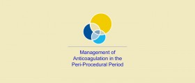 MAPPP App, a clinical decision support for managing anticoagulants before medical procedures